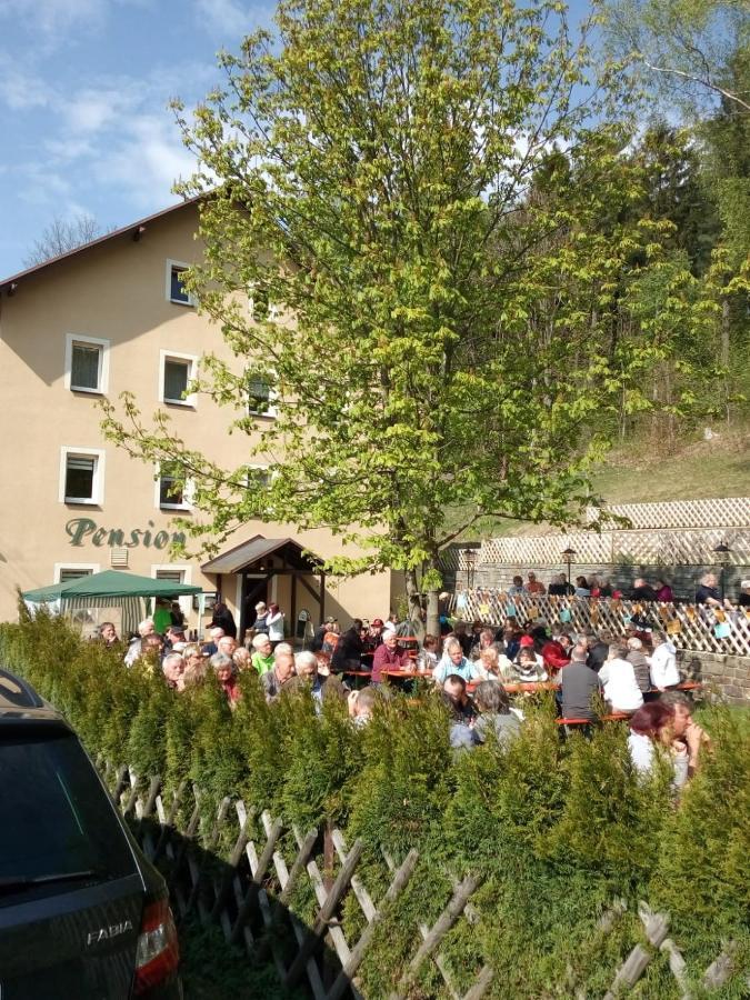 Pension Sommerfrische Ehrenfriedersdorf Екстериор снимка